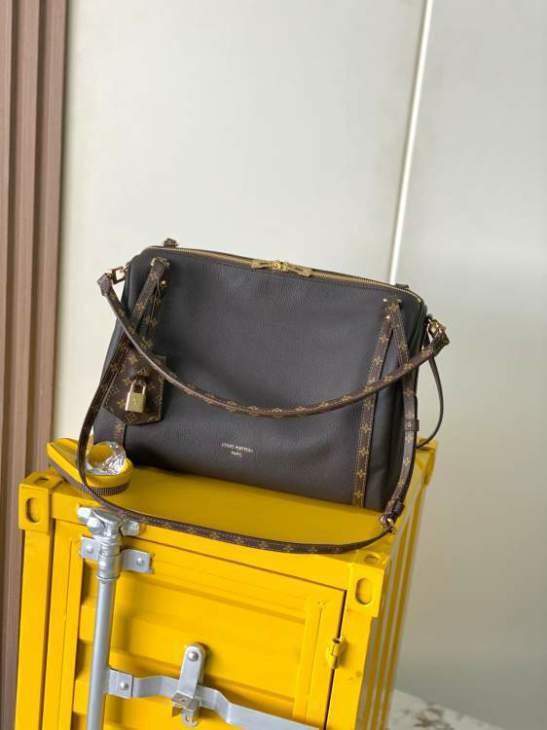 Picture of Louis Vuitton Handbags _SKUfw240289366fw